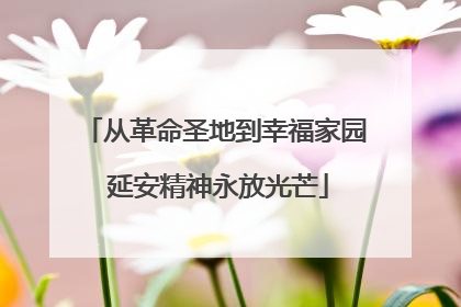 从革命圣地到幸福家园 延安精神永放光芒