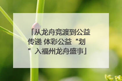 从龙舟竞渡到公益传递 体彩公益“划”入福州龙舟盛事