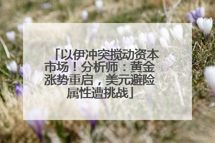 以伊冲突搅动资本市场！分析师：黄金涨势重启，美元避险属性遭挑战