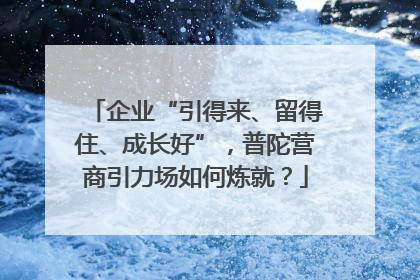 企业“引得来、留得住、成长好”，普陀营商引力场如何炼就？