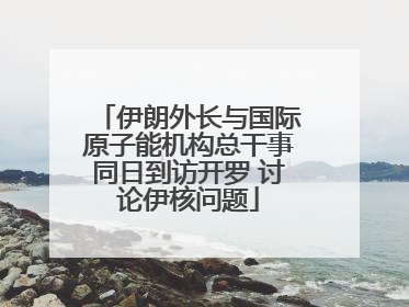 伊朗外长与国际原子能机构总干事同日到访开罗 讨论伊核问题