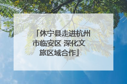 休宁县走进杭州市临安区 深化文旅区域合作