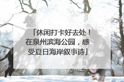 休闲打卡好去处！在泉州滨海公园，感受夏日海岸叙事诗