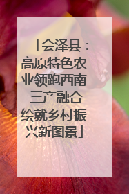 会泽县：高原特色农业领跑西南 三产融合绘就乡村振兴新图景