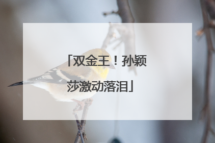双金王！孙颖莎激动落泪