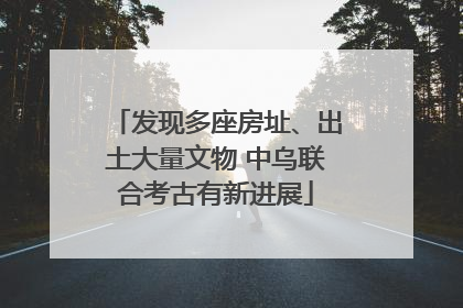发现多座房址、出土大量文物 中乌联合考古有新进展