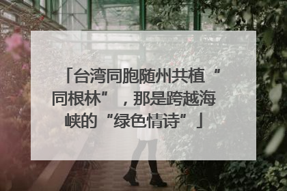台湾同胞随州共植“同根林”，那是跨越海峡的“绿色情诗”