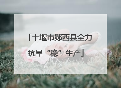 十堰市郧西县全力抗旱“稳”生产