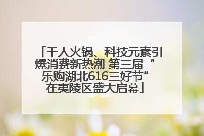 千人火锅、科技元素引爆消费新热潮 第三届“乐购湖北616三好节”在夷陵区盛大启幕
