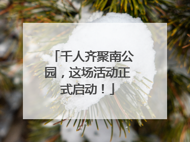 千人齐聚南公园，这场活动正式启动！