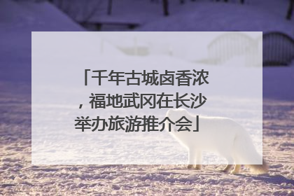 千年古城卤香浓，福地武冈在长沙举办旅游推介会