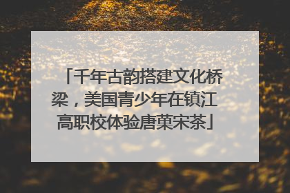 千年古韵搭建文化桥梁，美国青少年在镇江高职校体验唐菓宋茶