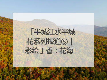 半城江水半城花系列报道⑤｜彩绘丁香：花海映照一座城