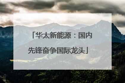 华太新能源：国内先锋奋争国际龙头