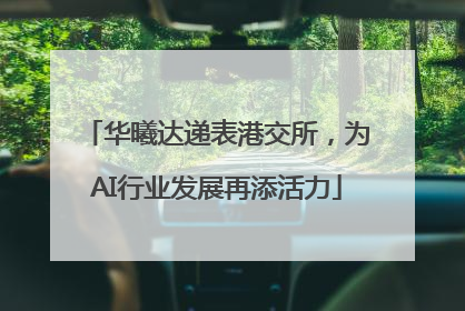 华曦达递表港交所，为AI行业发展再添活力