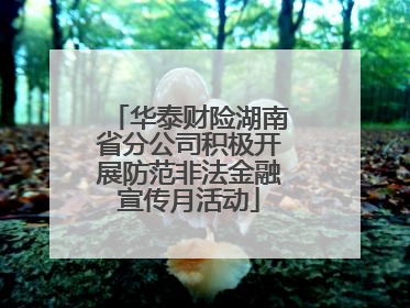 华泰财险湖南省分公司积极开展防范非法金融宣传月活动