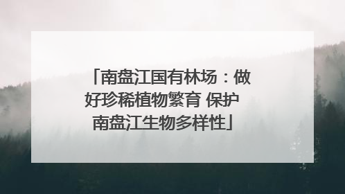 南盘江国有林场：做好珍稀植物繁育 保护南盘江生物多样性