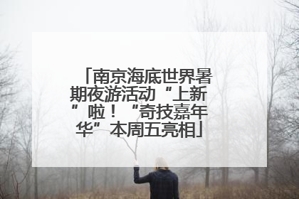 南京海底世界暑期夜游活动“上新”啦！“奇技嘉年华”本周五亮相
