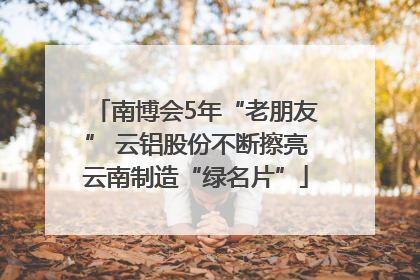 南博会5年“老朋友” 云铝股份不断擦亮云南制造“绿名片”