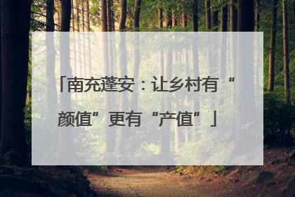 南充蓬安：让乡村有“颜值”更有“产值”
