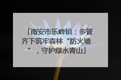 南安市乐峰镇：多管齐下筑牢森林“防火墙”，守护绿水青山