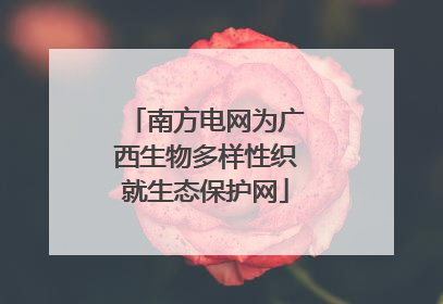 南方电网为广西生物多样性织就生态保护网