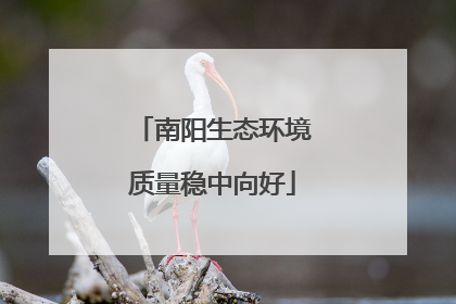 南阳生态环境质量稳中向好