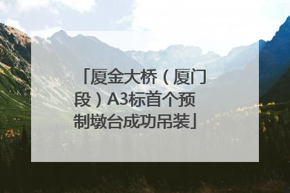 厦金大桥（厦门段）A3标首个预制墩台成功吊装