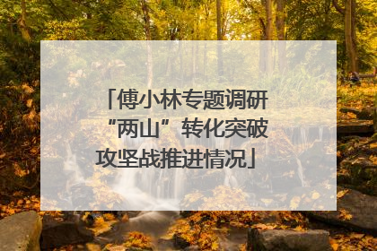 傅小林专题调研“两山”转化突破攻坚战推进情况