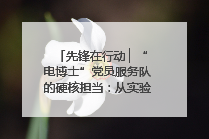 先锋在行动 ▏“电博士”党员服务队的硬核担当：从实验室到抗洪一线