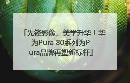 先锋影像、美学升华！华为Pura 80系列为Pura品牌再塑新标杆