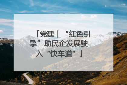 党建｜“红色引擎”助民企发展驶入“快车道”
