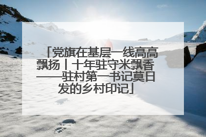 党旗在基层一线高高飘扬丨十年驻守米飘香——驻村第一书记莫日发的乡村印记