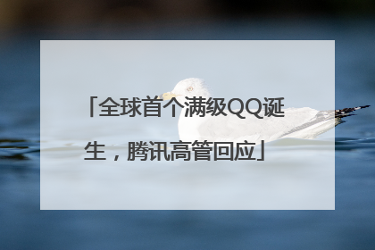 全球首个满级QQ诞生，腾讯高管回应