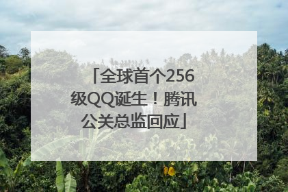 全球首个256级QQ诞生！腾讯公关总监回应