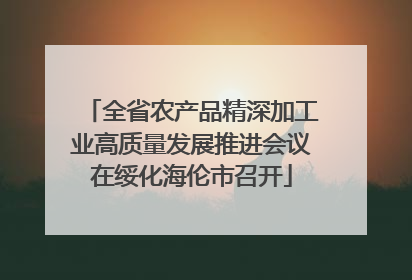 全省农产品精深加工业高质量发展推进会议在绥化海伦市召开
