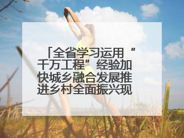 全省学习运用“千万工程”经验加快城乡融合发展推进乡村全面振兴现场会在上杭举行