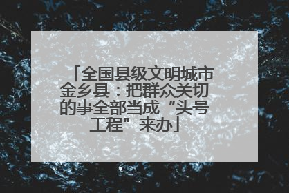 全国县级文明城市金乡县：把群众关切的事全部当成“头号工程”来办