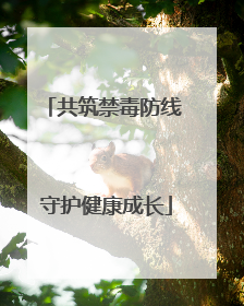 共筑禁毒防线 守护健康成长
