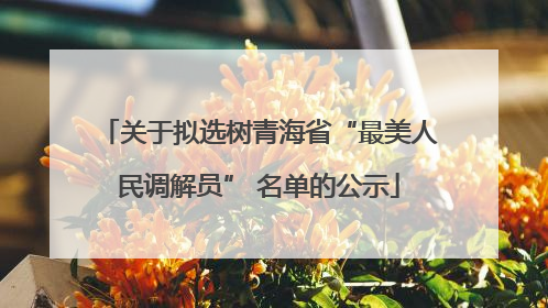 关于拟选树青海省“最美人民调解员” 名单的公示