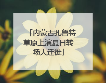 内蒙古扎鲁特草原上演夏日转场大迁徙