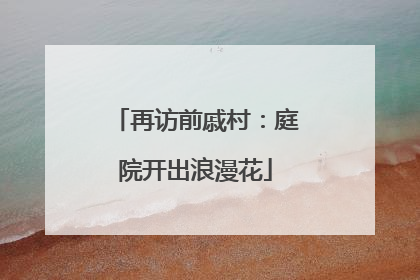 再访前戚村：庭院开出浪漫花