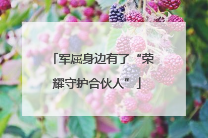 军属身边有了“荣耀守护合伙人”