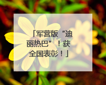 军营版“迪丽热巴”！获全国表彰！