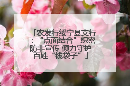 农发行绥宁县支行：“点面结合”织密防非宣传 倾力守护百姓“钱袋子”
