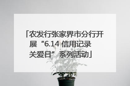 农发行张家界市分行开展“6.14 信用记录关爱日”系列活动