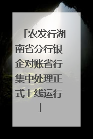 农发行湖南省分行银企对账省行集中处理正式上线运行