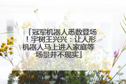 冠军机器人悉数登场！宇树王兴兴：让人形机器人马上进入家庭等场景并不现实