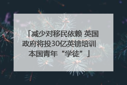 减少对移民依赖 英国政府将投30亿英镑培训本国青年“学徒”