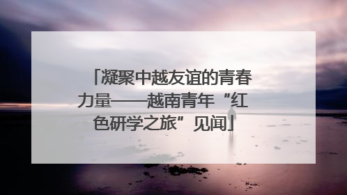 凝聚中越友谊的青春力量——越南青年“红色研学之旅”见闻